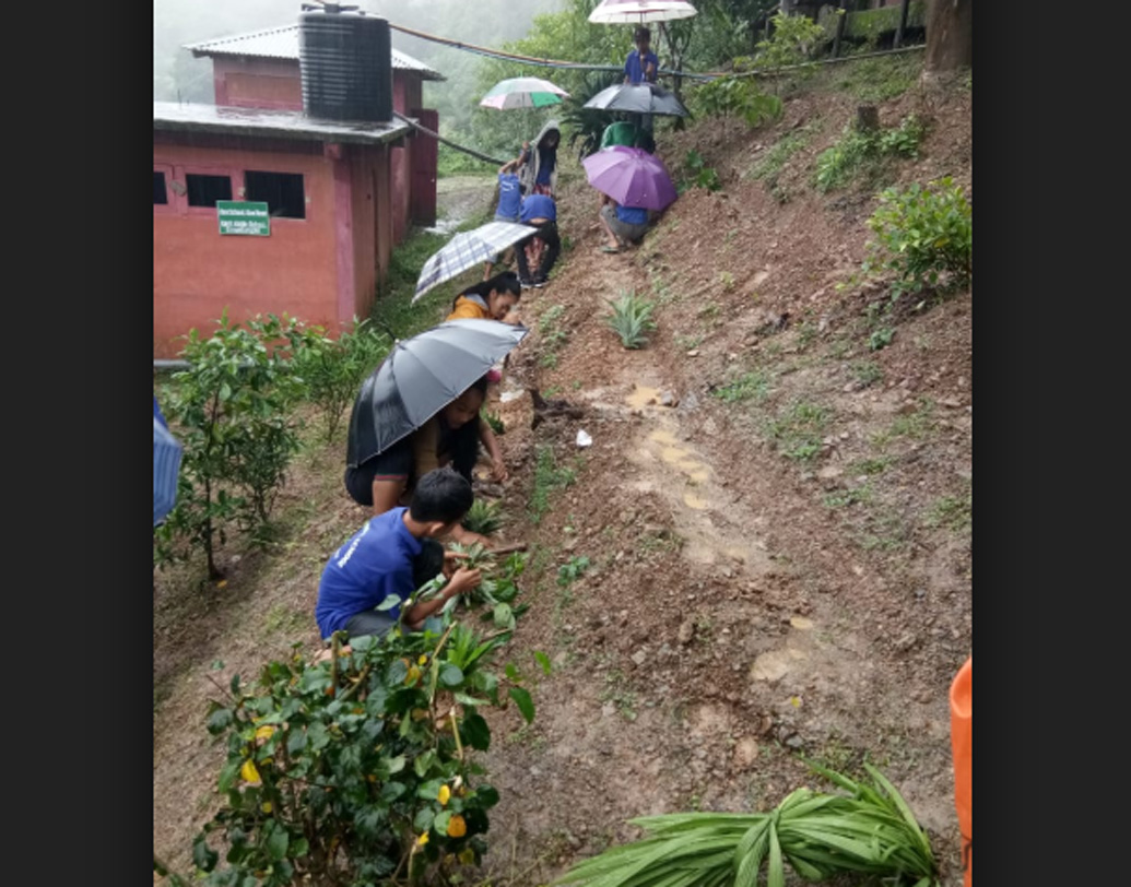 যে সমস্ত স্কুলের নিজস্ব জমি রয়েছে, তারা সেই জমিতে এবং যাদের নেই তারা স্কুলের ছাদে চাষাবাদ শুরু করেন। বিভিন্ন রকম সবজি চাষ শুরু হয় সেখানে। চাষাবাদের সঠিক পদ্ধতি শেখানোর জন্য স্থানীয় কৃষি বিজ্ঞান কেন্দ্রের সাহায্যও নেন তিনি।