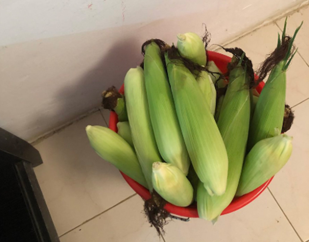 হলুদ, আদা, টমেটো, ভুট্টা, গাজর, ক্যাপসিকাম এমন নানান সবজির চাষ শুরু হয়। এমনকি হলুদ এবং আদার উৎপাদন এত বেশি পরিমাণে হয়েছে যে রফতানিও শুরু করেছেন তাঁরা।