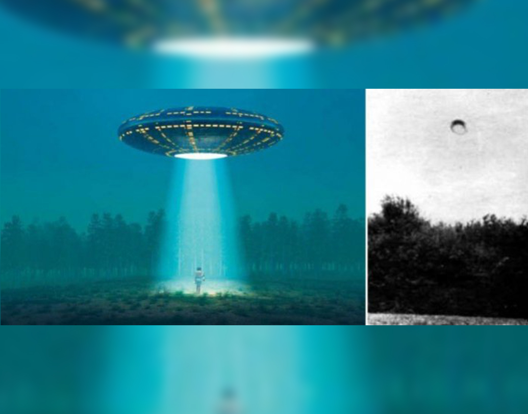 ১৯৬০ সালে সর্বপ্রথম এই অরণ্যটি বিশ্ববাসীর নজরে আসে। জীববিজ্ঞানী আলেকজান্দ্রু সিফ্‌ট আকাশে ডিম্বাকৃতি কিছু উড়ে যেতে দেখেন। সেই বস্তুটির ছবিও তোলেন আলেকজান্দ্রু।