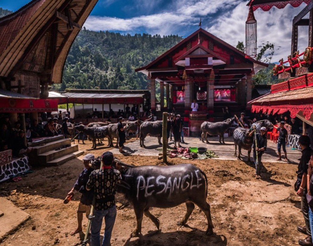 এর পর আসে অন্ত্যেষ্টিক্রিয়ার পর্ব। অন্ত্যেষ্টিক্রিয়ার বৈশিষ্ট্য হল, মোষ বলি। টোরাজাদের বিশ্বাস, মৃত্যুর পর মোষই তাঁদের স্বর্গের রাস্তা দেখিয়ে দেয়। মোষের পিঠে চেপেই তাঁরা স্বর্গলোকে যান। একজন মৃত ব্যক্তির জন্য অন্তত একটা মোষ বলি দেওয়াটা বাধ্যতামূলক। একটা মধ্যবিত্ত পরিবার একজনের অন্ত্যেষ্টিক্রিয়ার জন্য ২৪টা মোষের বলি দেয়। সামর্থ্য থাকলে বলির সংখ্যা আরও বাড়ে।