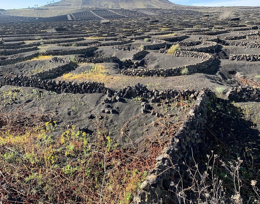 অতলান্তিক মহাসাগরের তীরে অবস্থিত স্পেনের ক্যানারি দ্বীপপুঞ্জের অন্তর্গত লাঞ্জারত দ্বীপটি অগ্ন্যুৎপাত প্রবণ বলে পরিচিত। ১৪০২ সাল নাগাদ সেখানে জনবসতি গড়ে উঠতে শুরু করে। কিন্তু ১৭৩০ – ১৭৩৬ সালের মধ্যে সুপ্ত আগ্নেয়গিরিগুলি জেগে উঠতে শুরু করে। তাতে প্রায় দশটি গ্রাম পুড়ে ছাই হয়ে যায়। ১৮২৪ সালেও একবার লাভা উদ্গীরণ হয় সেখানে।