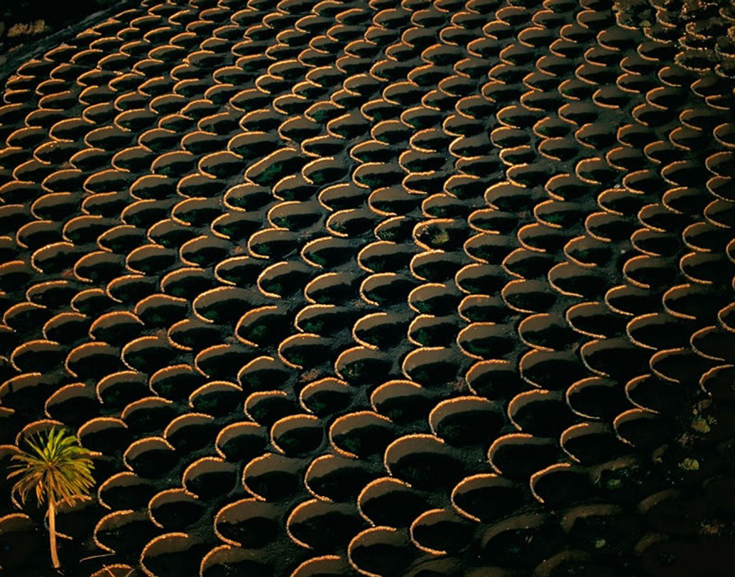 সেই থেকে কালো ছাই এবং পাথরে ঢাকা লাঞ্জারত দ্বীপের বিস্তীর্ণ এলাকা। গাছপালা তেমন নেই বললেই চলে। জায়গা বিশেষে মাটির রংও আলাদা। এদিক ওদিক জ্বালামুখ, বিশাল আকারের গর্ত এবং নানা রকমের পাথরের স্তূপ চোখে পড়ে। আর তার মধ্যেই যেন মরুদ্যানের মতো জায়গায় জায়গায় গড়ে উঠেছে আঙুরের খেত।