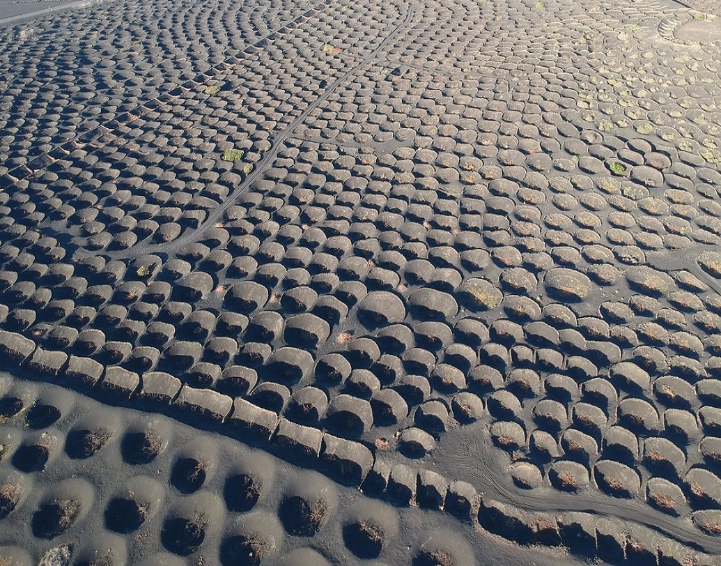 ছাই এবং লাভা নির্গত পদার্থ মিশে সেখানকার জমি খানিকটা স্পঞ্জের মতো হয়ে গিয়েছে। জল ঢাললে তাড়াতাড়ডি শুষে নিলেও, মাটি ভিজে থাকে অনেক ক্ষণ। আবার ছাইয়ের স্তরও মাটির তাপমাত্রা নিয়ন্ত্রণে রাখতে সাহায্য করে।