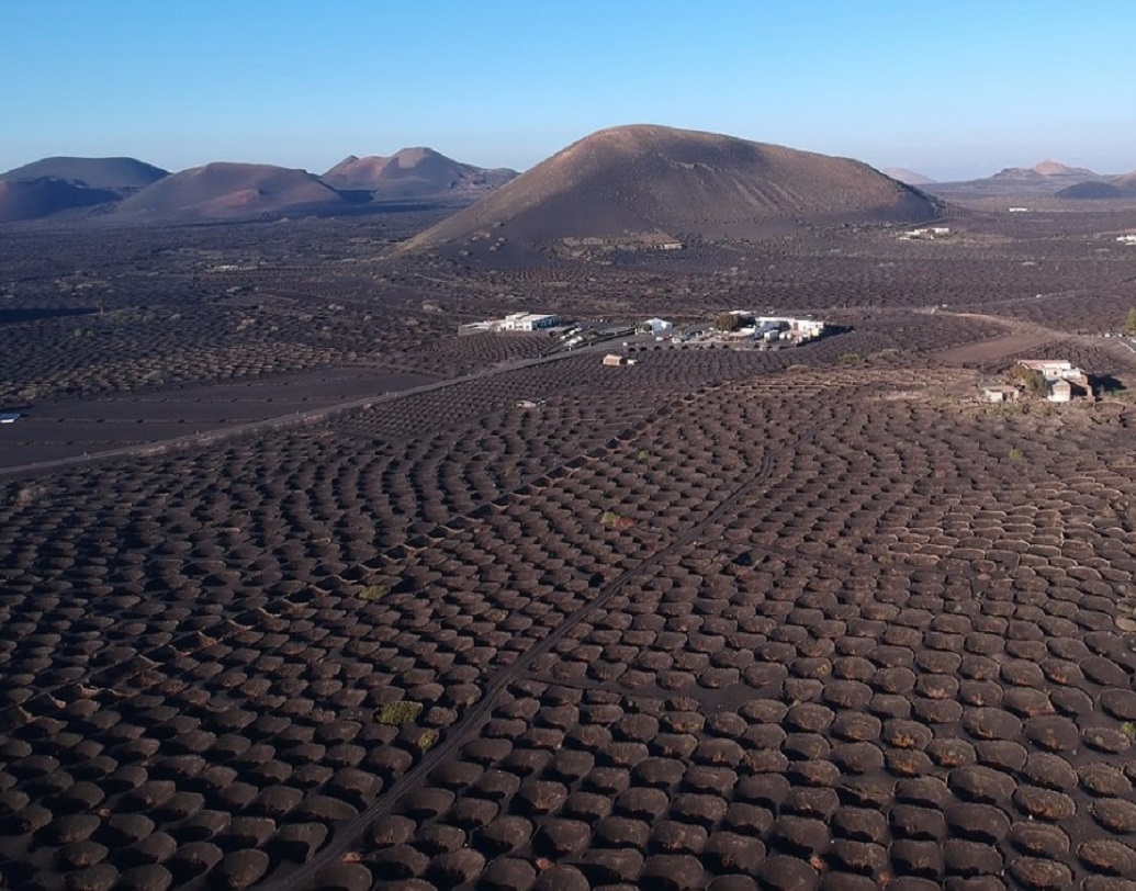 আমেরিকান ও আফ্রিকান প্লেট বিচ্ছিন্ন হয়ে গড়ে ওঠা ক্যানারি দ্বীপপুঞ্জে অতলান্তিক মহাসাগরের শীতল বাতাস যেমন ঢোকে, তেমনই আফ্রিকার গরম আবহাওয়ার প্রভাবও পড়ে মাটিতে, আঙুর চাষের জন্য যা আদর্শ পরিবেশ। তাই ভেবে চিন্তে সেখানে আঙুর খেত তৈরি করার উদ্যোগ শুরু হয়।