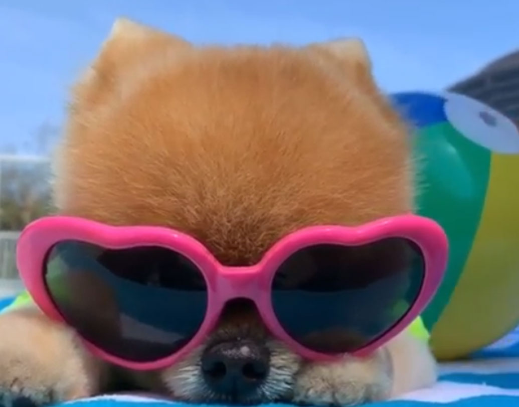 ইনস্টাগ্রাম ও সোশ্যাল সাইটের নানা পোস্ট মিলিয়ে প্রায় ১২ লক্ষ টাকা রোজগার করেছে জিফপম। তার নিজের নামেই রয়েছে অ্যাকাউন্ট। নিজের সাজ-পোশাক থেকে দরকারি সরঞ্জামও তার নামেই কেনাকাটা করা হয়। বিপুল জনপ্রিয়তার কারণে নানা অনলাইন সাইট ও দোকান তার জন্য বিশেষ ছাড়েরও ব্যবস্থা রাখে।