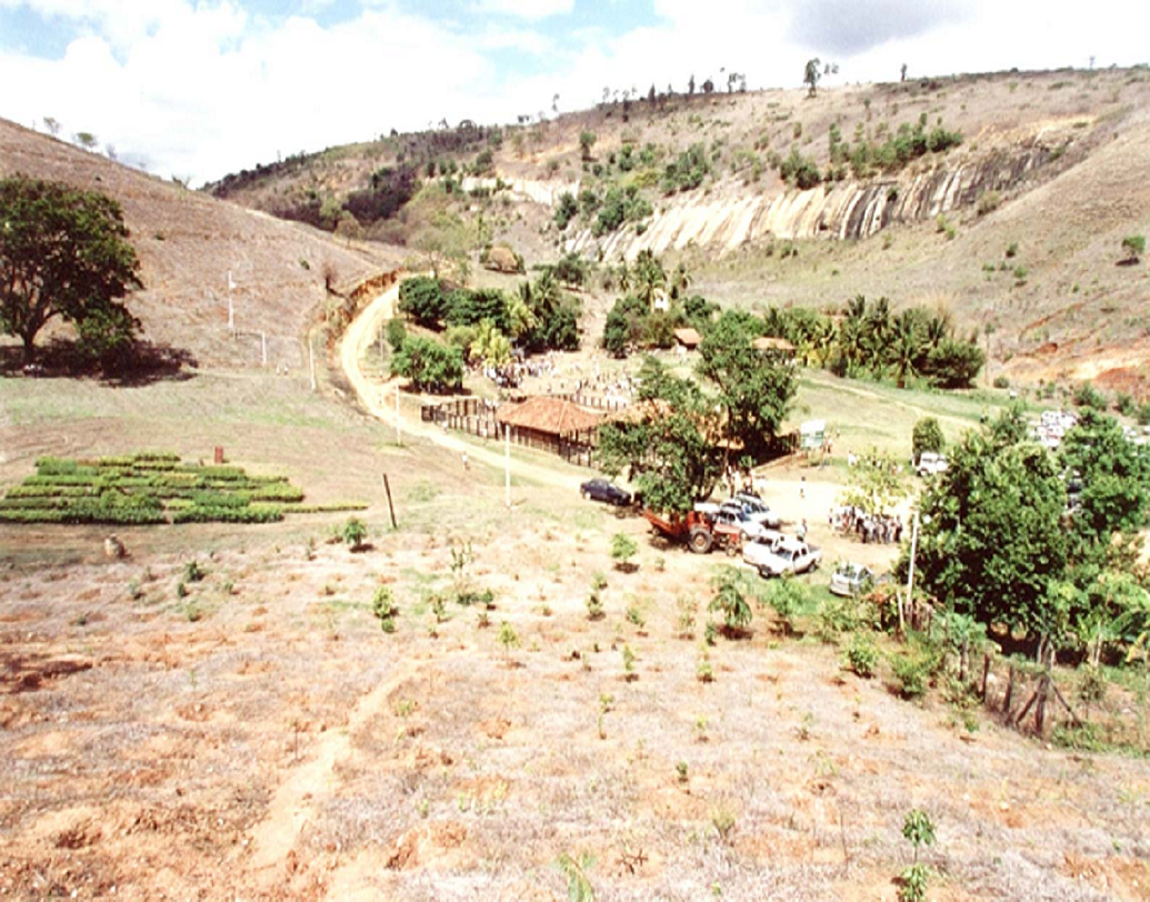 বিখ্যাত ব্রাজিলিয়ান চিত্রসাংবাদিক সেবাস্তিয়াও সালগাদো ছোটবেলায় অরণ্যের কাছাকাছি অঞ্চলে থাকলেও পরে কাজের সূত্রে বিশ্বের বিভিন্ন জায়গা পাড়ি দেন। বহু বছর পর পরে দেশে ফিরে বন্যপ্রাণী ভরা অরণ্যের জায়গায় শুকনো জমি দেখে হতাশ হন।