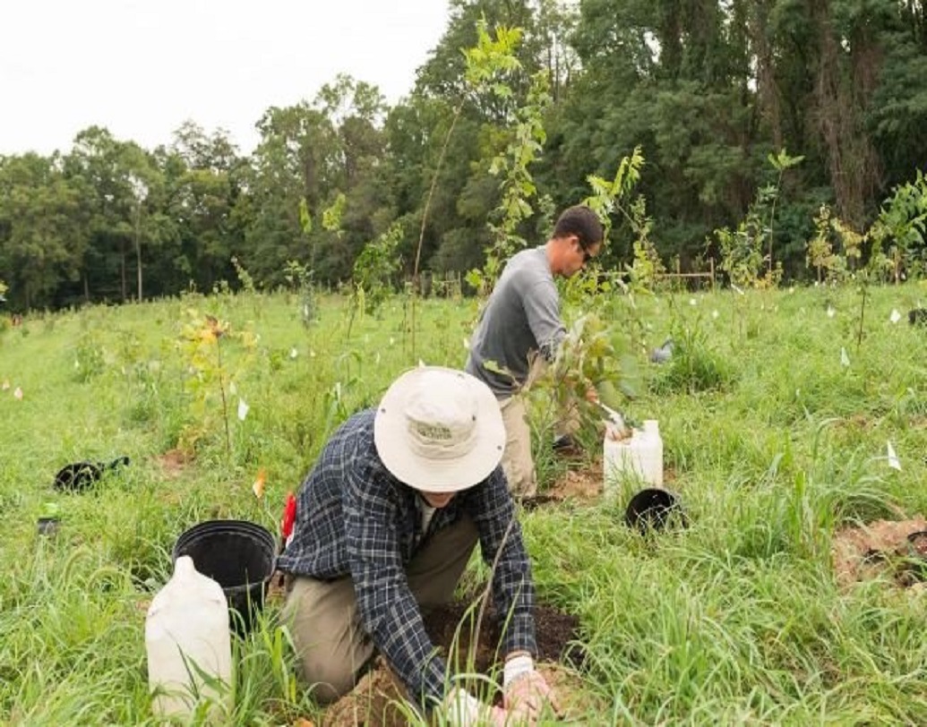 বিগত ২০ বছর ধরে এই সেবাস্তিয়াও এবং তাঁর স্ত্রী লেলেয়া ডেলুইজ এই জায়গাটির যত্ন নেন। এখন এই জঙ্গলে ১৭২ প্রজাতির পাখি, ৩৩ রকমের স্তন্যপায়ী, ২৯৩ প্রজাতির গাছপালা এবং ১৫টি প্রজাতির সরীসৃপ রয়েছে।