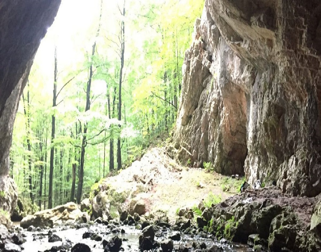 রোমানিয়ার ট্রান্সিলভেনিয়া-র একটি গুহায় এই ক্ষতিগ্রস্ত মাথার খুলিটি খুঁজে পাওয়া যায়, কিন্তু পাওয়া যায়নি শরীরের বাকি অংশের অস্তিত্ব।