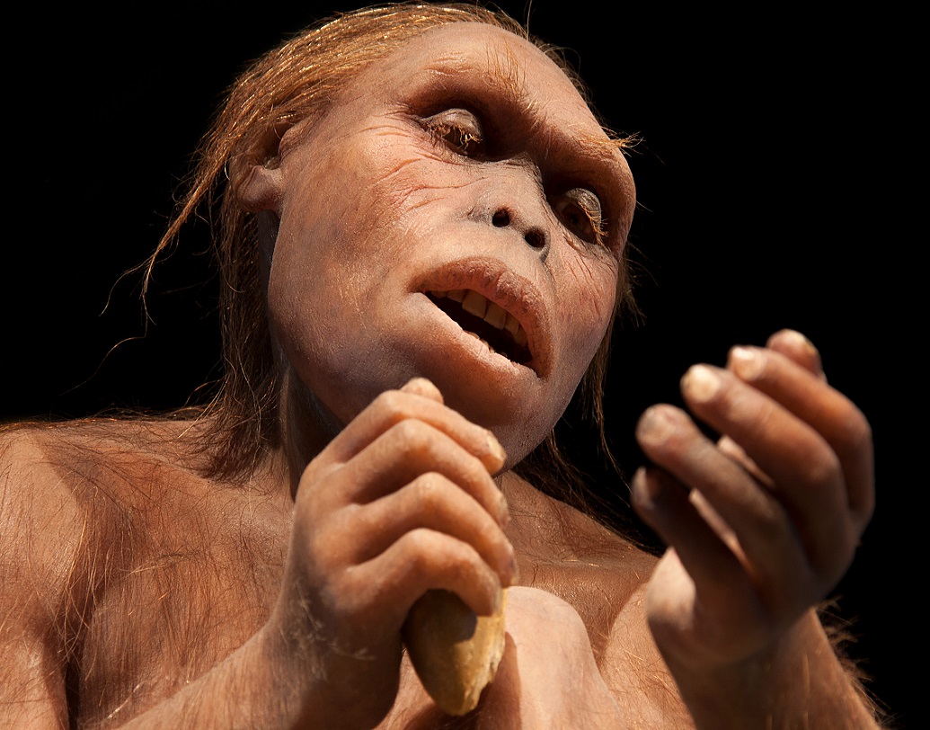 প্রত্নতাত্ত্বিকরা জানিয়েছেন, এই খুলিটি একজন পুরুষের, যিনি আদিম যুগের একজন ইউরোপীয় ছিলেন।