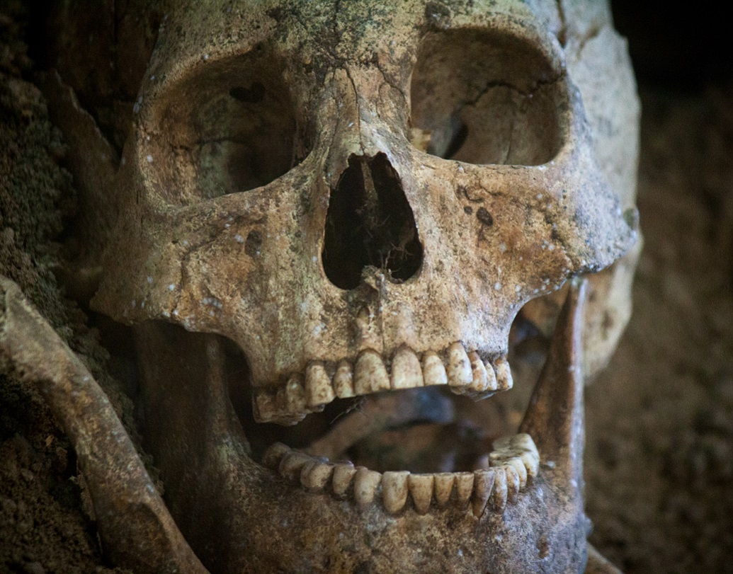 বিজ্ঞানীরা আঘাতের মাত্রা অর্থাৎ কী ভাবে আঘাত লেগেছিল এবং এই আঘাতে কতটা ক্ষতি হতে পারে তা পরিমাপ করতে একটি  সিনথেটিক খুলির মডেল বানিয়েছিলেন।