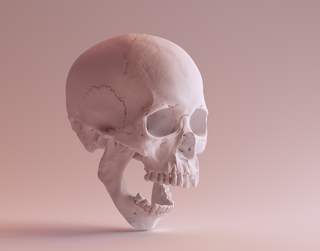 আঘাতটি পরীক্ষা করার জন্য সিনথেটিক খুলিটিতে ব্যাট ও পাথর দিয়ে নানা ভাবে আঘাত করা হয়েছিল।