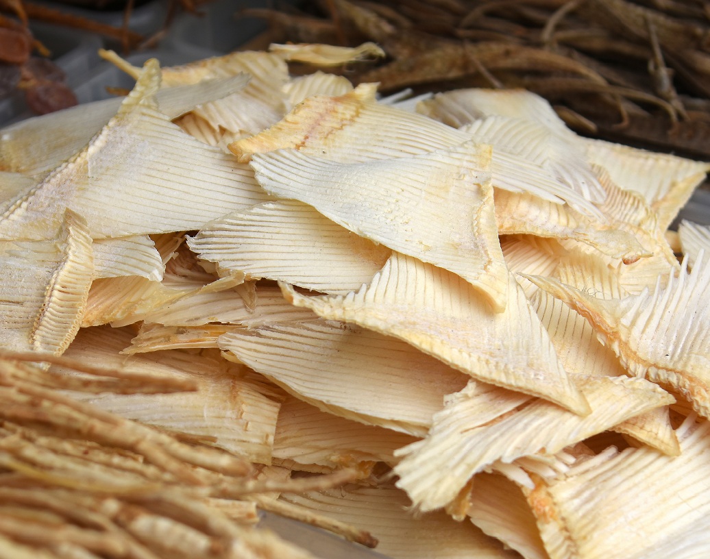 হাঙর নিয়ে কতশত গল্পই রয়েছে। রয়েছে কত সিনেমাও। কিন্তু এই হাঙরের পাখনাও নাকি খাদ্য! মার্কিন যুক্তরাষ্ট্রে এক সময় এই খাবার বিশেষ জনপ্রিয়তা লাভ করলেও হাঙর বিপন্ন প্রাণীর তালিকায় অন্তর্ভুক্ত হলে যুক্তরাষ্ট্র সরকার আইন করে বন্ধ করেছে এর কেনাবেচা।