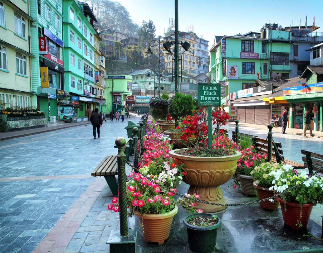 ১৯৪৮-এর ২৫ ফেব্রুয়ারি গ্যাংটকে এক বৌদ্ধ পরিবারে জন্ম ড্যানির। পড়াশোনার ভাল ছেলেটি প্রথমে নৈনিতালের বিড়লা বিদ্যামন্দির ও পরে দার্জিলিঙের সেন্ট জোসেফ কলেজ থেকে পাস করেন। পড়াশোনার পাশাপাশি মূর্তি তৈরি, ছবি আঁকাতেও বিশেষ পারদর্শী ছিলেন তিনি।