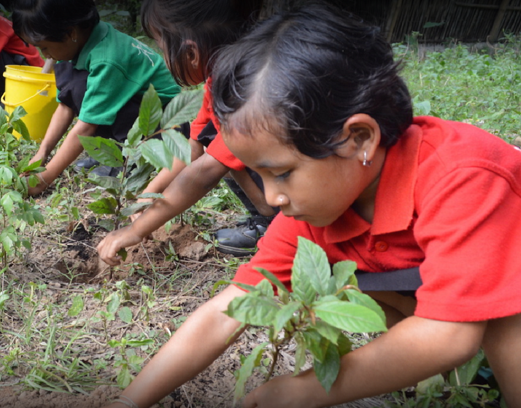 মাজিনের মতে, অক্ষর বিভিন্ন ধরনের অভিযান করে। গাছ লাগান থেকে শুরু করে কিছু রাস্তার কুকুরকে আশ্রয় দিয়েছে। তাদের দেখাশোনার দায়িত্ব রয়েছে অক্ষরের শিক্ষার্থীদের উপর।