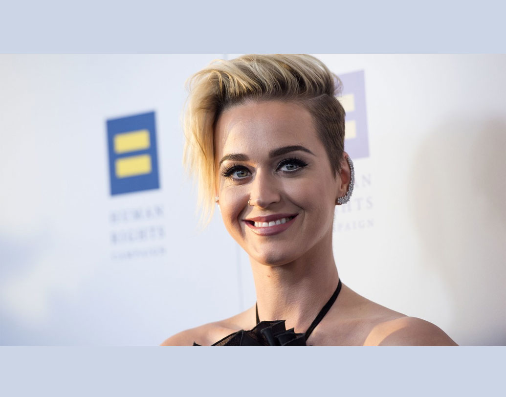 গসপেল মিউজিক দিয়ে কেরিয়ার শুরু কেটি পেরির। এর পর একে একে হলিউড ফিল্ম, রিয়েলিটি শোয়ে বিচারক বা পপ রক মিউজিক, সবতেই দেখা গিয়েছে তাঁকে। ব্রিটিশ মিউজিশিয়ান-অভিনেতা-অ্যাক্টিভিস্ট রাসেল ব্র্যান্ডের সঙ্গে বিবাহবিচ্ছেদের পর বিতর্কেও জড়িয়েছেন বহু বার। এহেন বৈচিত্রময় চরিত্রের ফ্যান ফলোয়িং কম নয়। তবে তার ৪৫ শতাংশ ফলোয়ারই নাকি ভুয়ো।