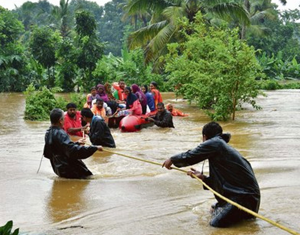 কেরলের পূর্তমন্ত্রী জি সুধাকরণ, এর্নাকুলামের জেলাশাসক এস সুহাস এবং অভিনেতা আসিফ আলি নৌশাদের ভূয়সী প্রশংসা করেছেন। কেরলের স্বাস্থ্যমন্ত্রী কে শৈলজা সোশ্যাল মিডিয়ায় নৌশাদের ছবি পোস্ট করে সকললে ইদের শুভেচ্ছা জানান।