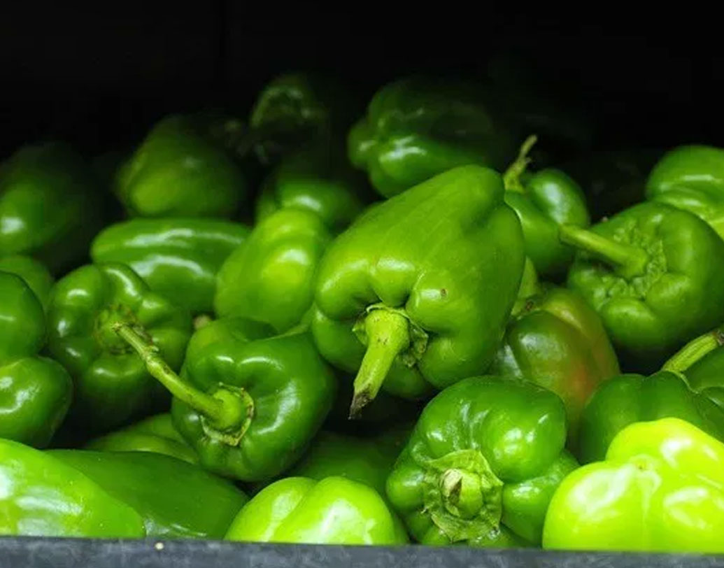 ১৯৯৮ সালে গানসু ক্যাপসিকাম চাষ করলেন। মাত্র ০.১৫ একর জমিতে ক্যাপসিকামের ফলন তাঁকে সে বছর দিল ১ লক্ষ ২০ হাজার টাকা। নতুন আশা দেখলেন গানসু। শুরু করলেন নানা রকমের ফসল চাষ।