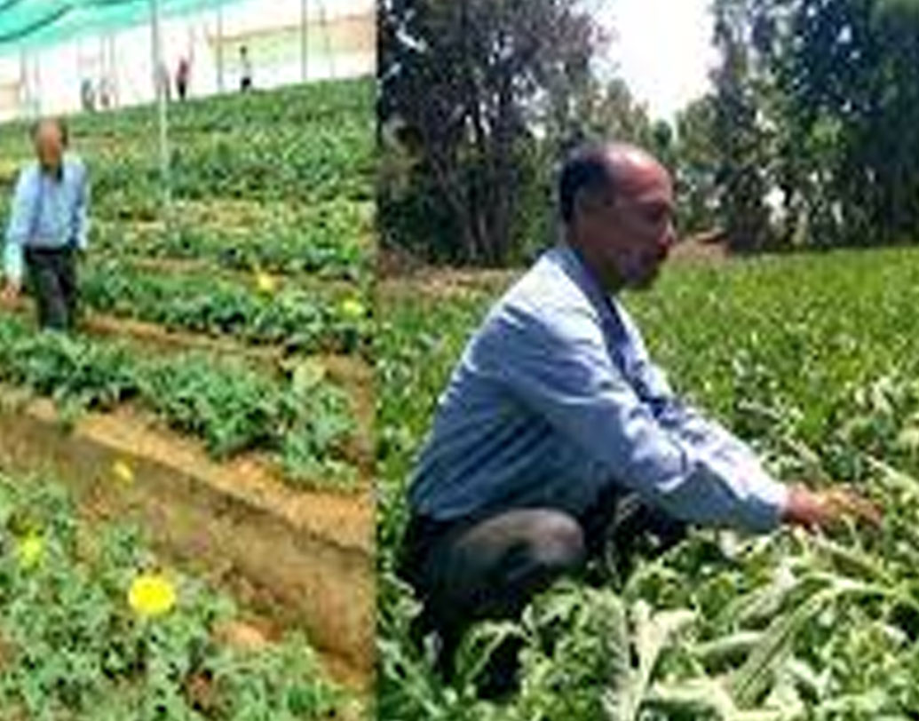 ২০১৫ সালে ছত্তীসগঢ়ে সরকারি প্রশিক্ষণে যাওয়ার সুযোগ পেলেন গানসু। পাঁচ দিনের প্রশিক্ষণে যোগ দিতে তাঁর খরচ হয়েছিল পাঁচ হাজার টাকা। তখন সেই টাকা যোগাড় করতে সমস্যা হয়েছিল ঠিকই। কিন্তু এখন তাঁর মনে হয়, ওই টাকা দিতে পেরেছিলেন বলেই আজ বছরে ৫০ লাখ টাকা উপার্জন করতে পারেন।