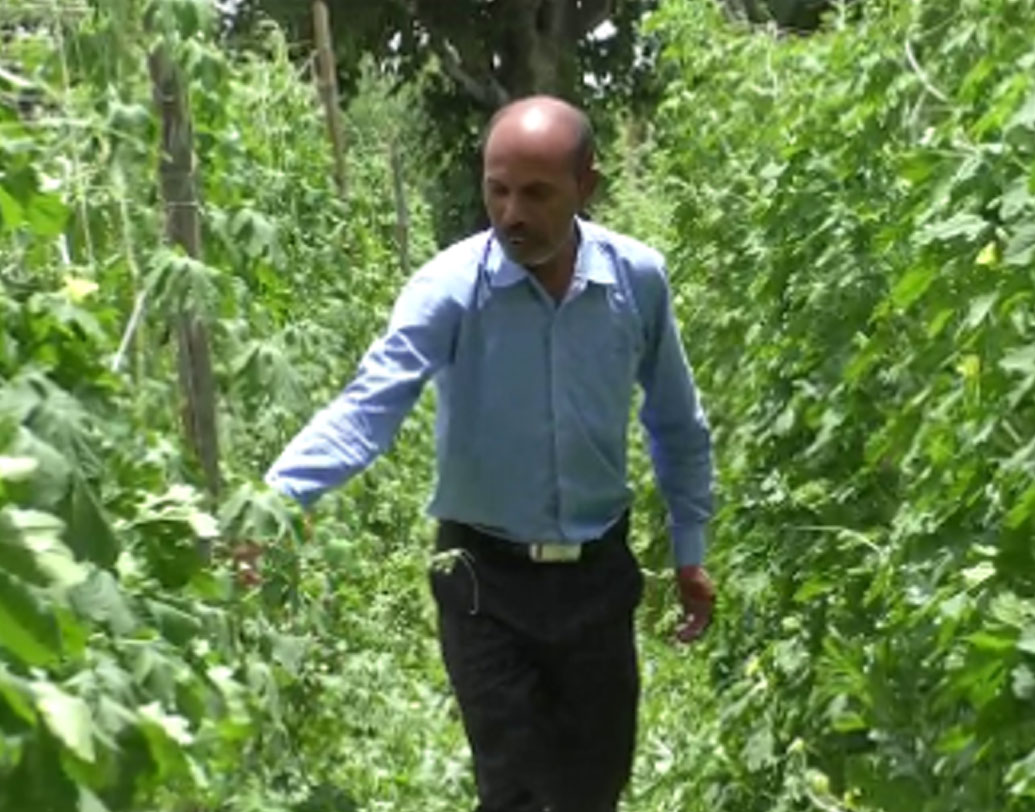 প্রশিক্ষণে গিয়ে হাতেকলমে কাজ শিখলেন গানসু। জানলেন জৈব কৃষিকাজের-এর অ-আ-ক-খ। বুঝলেন, খুব কম বিনিয়োগেও ভারী উপার্জন হতে পারে। পতিত অনাবাদী জমি কোনও কাজের নয়, ভেঙে গেল সেই ভুল ধারণাও।