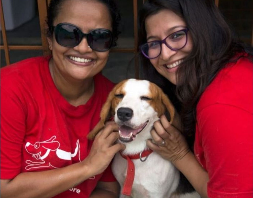 ছোট থেকে আর পাঁচটা সাধারণ কুকুরের মতো প্রকৃতি ও মানুষের ছত্রছায়ায় বড় না হওয়ায় ল্যাব থেকে ছাড়া পাওয়ার পর পরিবেশের সঙ্গে মানিয়ে নিতেই অসুবিধা হত এই বিগলদর। তাদের দুর্দশার কথা বুঝতে পেরে ২০১২ সালে এগিয়ে আসেন বেঙ্গালুরুর তরুণী চিন্থানা গোপীনাথ ও অবন্তী আগরওয়াল।