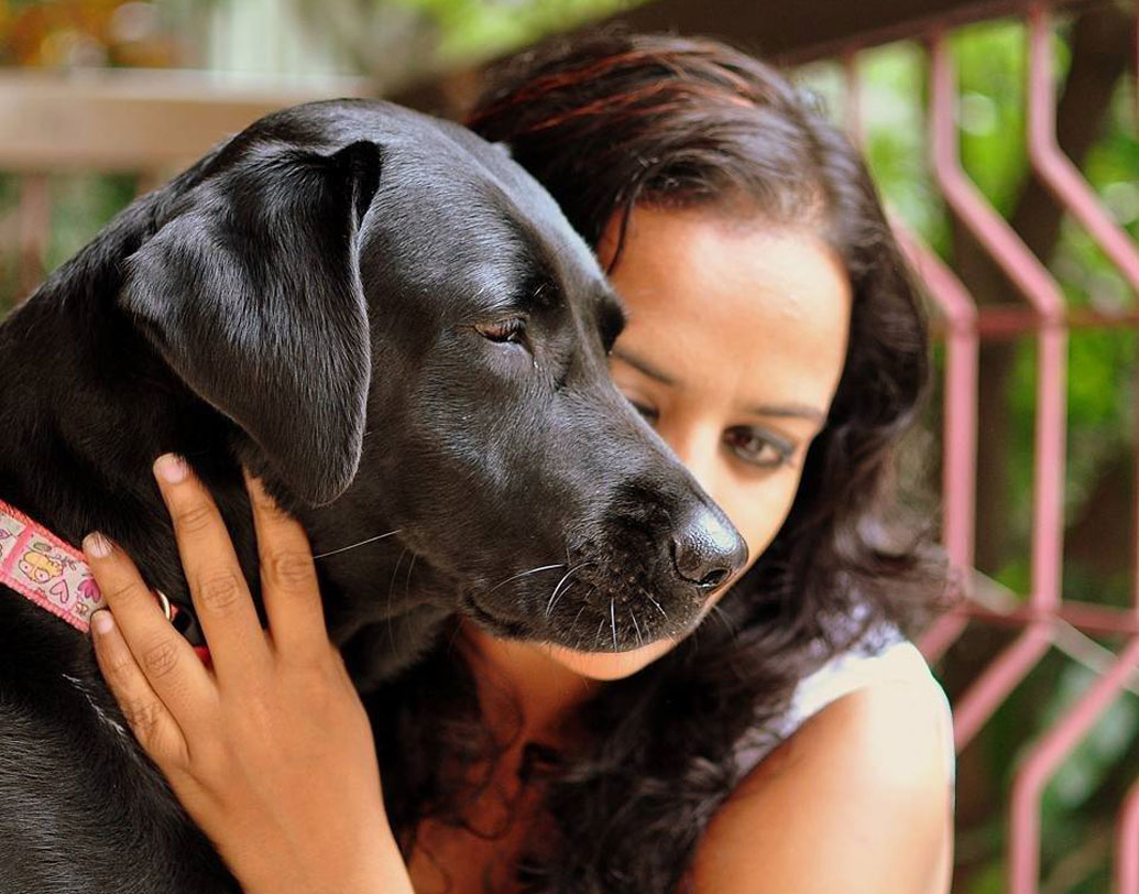 চিন্থানার মতে, পরীক্ষাগার থেকে আনার পর এই বিগলগুলি খুবই ভীত ও সন্ত্রস্ত হয়ে থাকে। সূর্যের আলো, মানুষের স্পর্শ, আদর কোনওটাতেই খুব একটা অভ্যস্ত হয় না এরা। সময়ের সঙ্গে সঙ্গে অভিভাবকের প্রতি আস্থা অর্জন করতে পারে। তাই এদের দেখভালের জন্য অভিভাবকদেরও ঠিকঠাক প্রশিক্ষণের প্রয়োজন হয়।