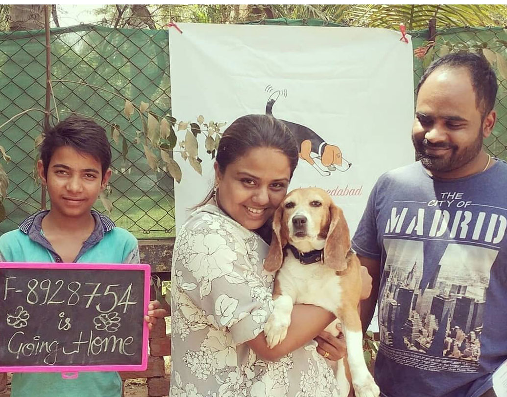 এখনও অবধি ৪৬৫টি বিগলের নিশ্চিন্ত আশ্রয়ের স্থান হয়ে উঠেছে ফোই। ‘মা’য়ের বিয়েতে ‘নিতকনে’ স্পার্কি-ই সেই আরাম ও স্বাচ্ছন্দ্যের প্রমাণ।