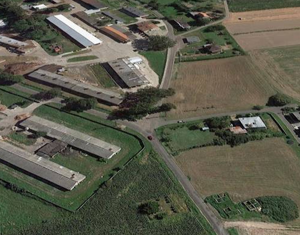 অথচ সার্বিক ভাবে পোল্যান্ডে পুত্রসন্তানের জন্মহার বেশি। ২০১৭ সালে সে দেশে ২ লক্ষ ৭ হাজার পুত্রসন্তানের জন্ম হয়েছে। কন্যাসন্তানের জন্ম হয়েছে ১ লক্ষ ৯৬ হাজার। কিন্তু সারা দেশের ধারা ওলটপালট হয়ে গিয়েছে এই প্রান্তিক গ্রামে।