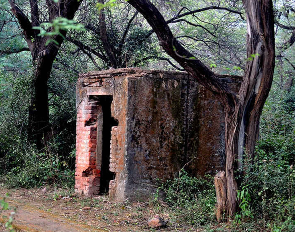 সাতের দশকের মাঝামাঝি নিজেদের হারানো সম্পত্তি ফিরে পাওয়ার দাবিতে তিনি আবির্ভূত হন জাতীয় মঞ্চে। ছেলে, মেয়ে, বেশ কয়েকটি কুকুর ও কয়েক জন পরিচারক নিয়ে থাকতে শুরু করেন দিল্লি স্টেশনের প্রথম শ্রেণির বিশ্রামাগারে। স্পষ্ট বলেন, দিল্লিতেই থাকবেন তাঁরা।