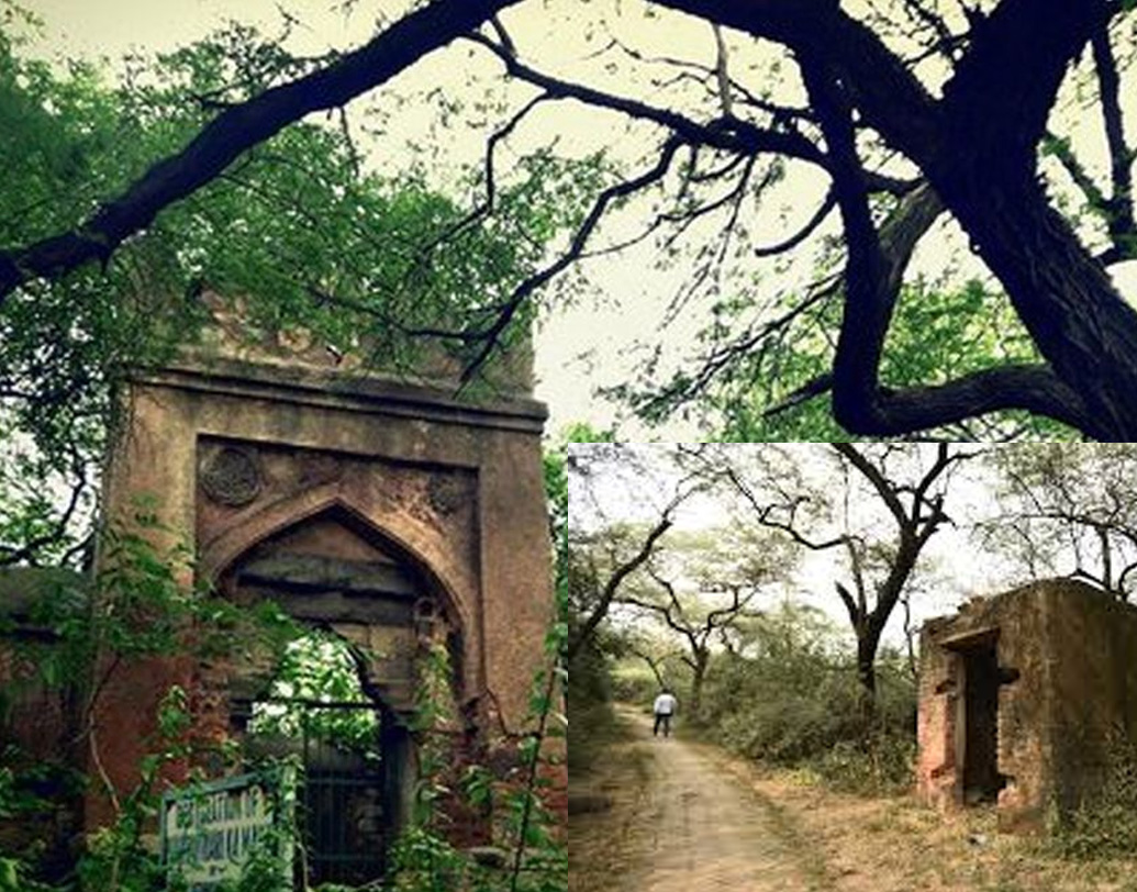 ‘ভ‌ৌতিক’ মালচা মহল ঘিরে অনেক আগে থেকেই ছিল গুপ্তধনের গুজব। বেগম ওয়ালিয়ৎ থাকার সময় থেকে তা আরও তীব্র হয়। বাড়তে থাকল হানাদারদের উপদ্রব। বেশ কয়েকটি পোষা কুকুরকে মেরে ফেলা হয় বিষ দিয়ে।