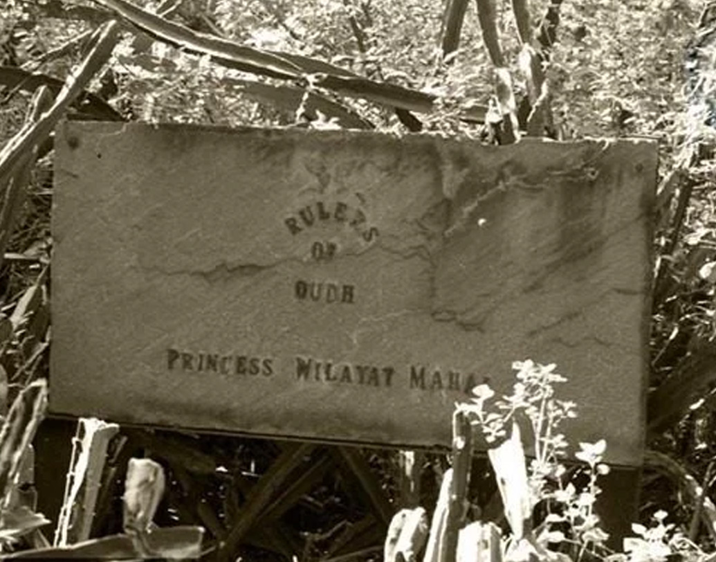 ঘন গাছপালায় ঘেরা মালচা মহলে ওয়ালিয়ৎ বেগম ও তাঁর সন্তানদের জীবন ছিল রহস্যাবৃত। কী ভাবে সংসার চলত, কেউ জানেন না। শোনা যায়, বিদেশ থেকে সামান্য সাহায্য আসত।