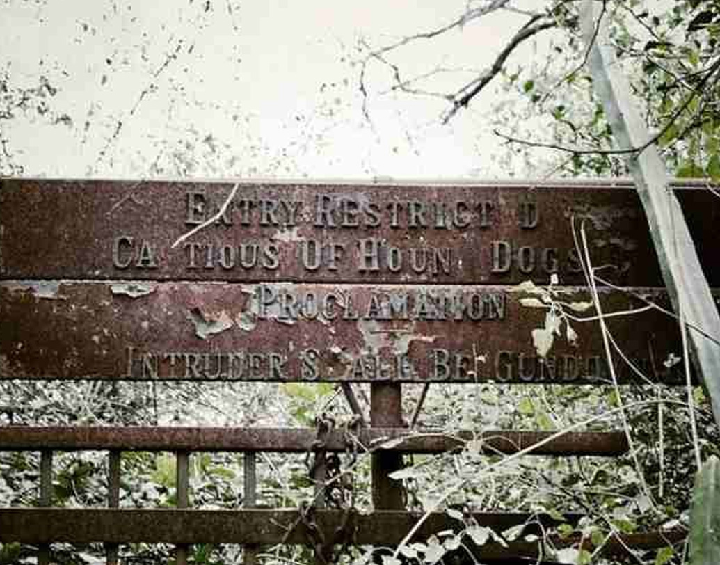 মৃত্যুর দশ দিন পরে সমাধিস্থ করা হয় বেগমকে। কিন্তু তাঁর কবরেও গুপ্তধনের খোঁজে হানা দিয়েছিল দুষ্কৃতীরা। এরপর বিদ্যুৎহীন মালচা মহলে থাকতেন ‘প্রিন্সেস’ সাকিনা এবং ‘প্রিন্স’ আলি রাজা। অতীতের দোর্দণ্ডপ্রতাপ অওয়ধি নবাবের বংশধররা যুদ্ধ করতেন তীব্র অনটনের সঙ্গে।