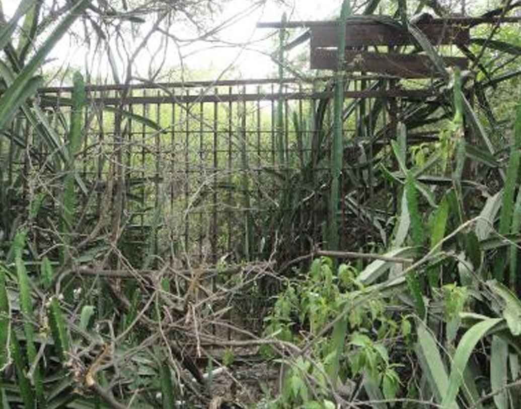 ওয়াকফ বোর্ডের সাহায্যে নামমাত্র ভাবে সমাধিস্থ করা হয়েছিল অওয়ধের নবাবি বংশের উত্তরসূরিকে। ভগ্নপ্রায় মালচা মহলে ইতস্তত পড়েছিল কিছু তামা আর পোর্সেলিনের বাসন, ছেঁড়া কাগজ, পুরনো ফটোগ্রাফ আর অনটনের চিহ্ন।