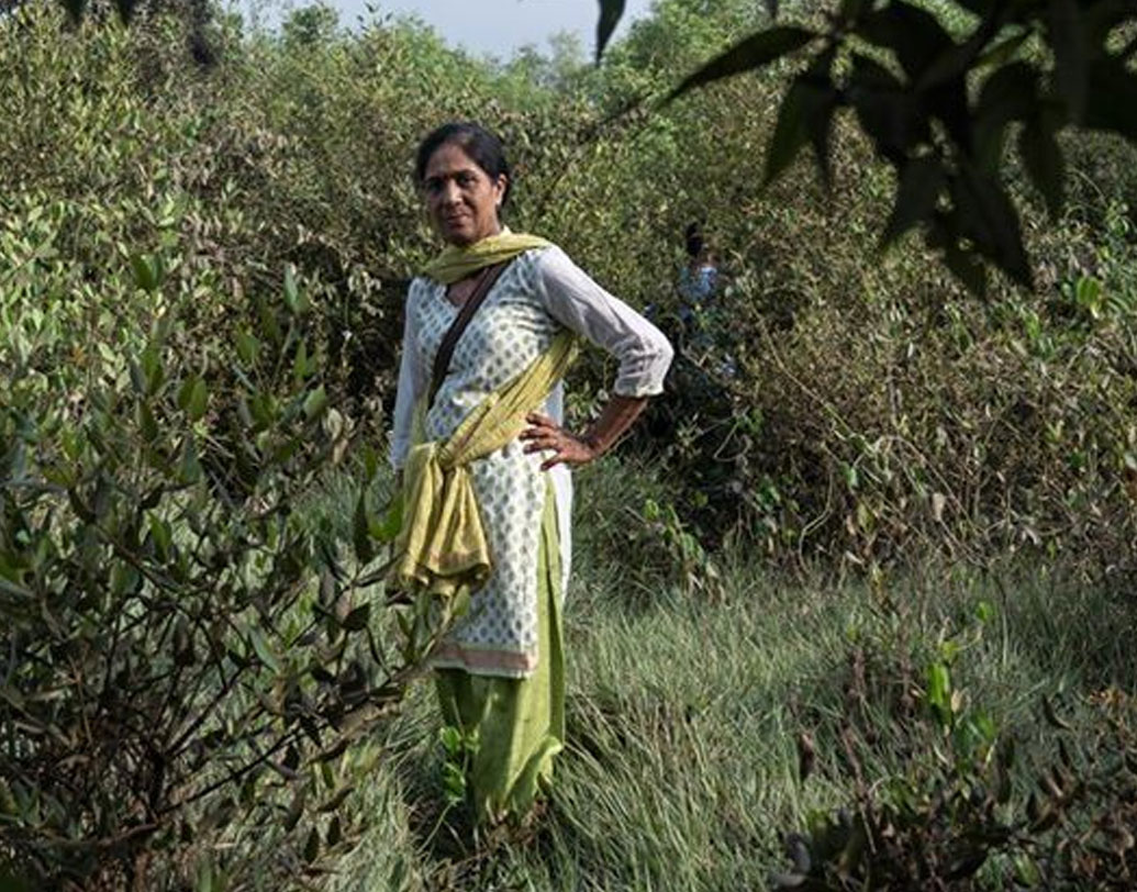 This 56-year-old Lady’s Mission of Life is to Save Mumbai’s Mangrove dgtl