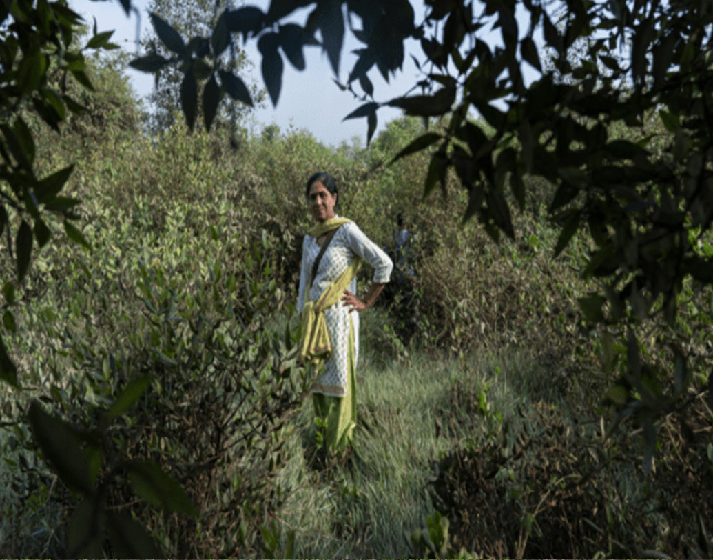 ছোট থেকেই সীমা এমন কিছু করতে চাইতেন যে কাজ মেয়েরা সচরাচর করে না। মহারাষ্ট্রের বন দফতরের ১৯৮৪ সালের প্রথম মহিলা ফিল্ড অফিসারদের মধ্যে তিনি এক জন। তিনি মনে করেন, মেয়েরা পারে না, হেন কোনও কাজ নেই। নিজেকে প্রমাণ করার জন্য একদিকে পুরুষ সহকর্মীদের তুলনায় তাঁকে দ্বিগুণ পরিশ্রম করতে হয়েছে।