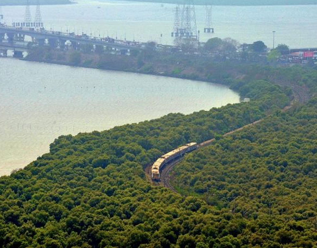 মেরিন ড্রাইভের লোনা বাতাস। বা দাদারের ভিড়ে ঠাসা ফুটপাত। অথবা বান্দ্রার বহুতলের সারি। এর বাইরেও মুম্বইয়ের একটা প্রাণখোলা ফুসফুস ছিল। যেখানে জলাজমি, সরু নদী আর মোহনার মাঝে প্রাণ ভরে বিশুদ্ধ বাতাস নেওয়া যেত। এখন মুম্বই বললে সে সব ছবি কারও মনেই আসে না। এই চেনা ছবিটাই পাল্টাতে চান সীমা।