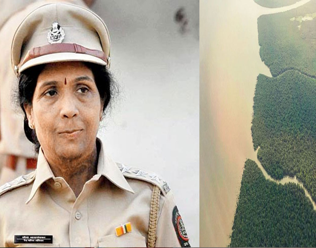 প্রাক্তন রেঞ্জ ফরেস্ট অফিসার সীমা মাহারাষ্ট্রের বনবিভাগের অধীনে থাকা ‘মুম্বই ম্যানগ্রোভ কনজারভেশন ইউনিট’-এর অংশ। ৩৬ সদস্যের এই দলের দায়িত্ব মুম্বইয়ের জলাভূমি রক্ষা করা। সম্প্রতি পদোন্নতি হয়ে সীমা এখন অ্যাসিস্ট্যান্ট কনজারভেটর।