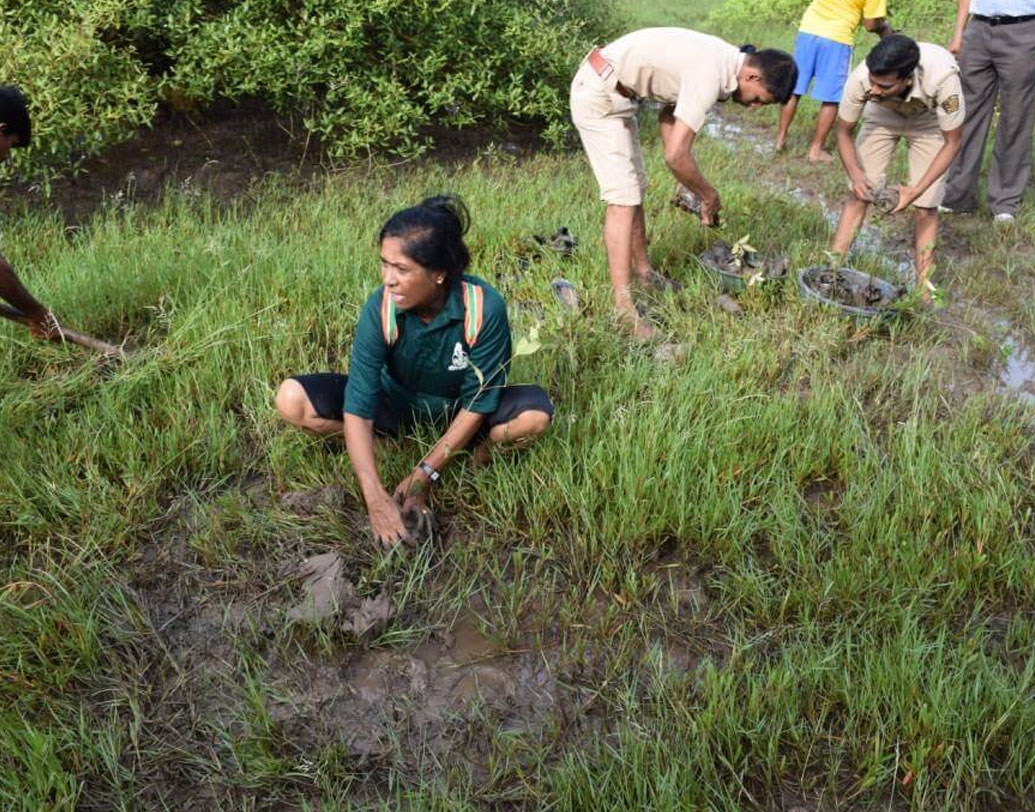 বম্বে হাইকোর্ট ২০০৫ সালে নির্দেশ দিয়েছিল, কোনও ভাবেই ম্যানগ্রোভ অরণ্য ধ্বংস করা যাবে না। এই অরণ্যের ৫০ মিটারের মধ্যে কোনও নির্মাণেও জারি করা হয় নিষেধাজ্ঞা। হাইকোর্টের নির্দেশের জেরেই ২০১২ সালে তৈরি হয় ‘মুম্বই ম্যানগ্রোভ কনজারভেশন ইউনিট’। গত বছর এই ইউনিটের উদ্যোগে বপন করা হয়েছে ২০ লক্ষ ম্যানগ্রোভের চারা। এ বছর বপন করা হবে আরও ৪০ লক্ষ।