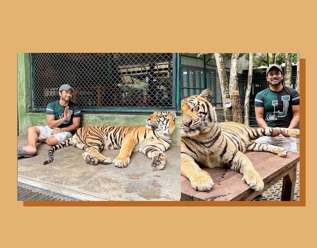 কখনও বা তাইল্যান্ডের আকর্ষণ বাঘের সঙ্গেও পোজ দিতে দেখা গিয়েছে অঙ্কুশকে।