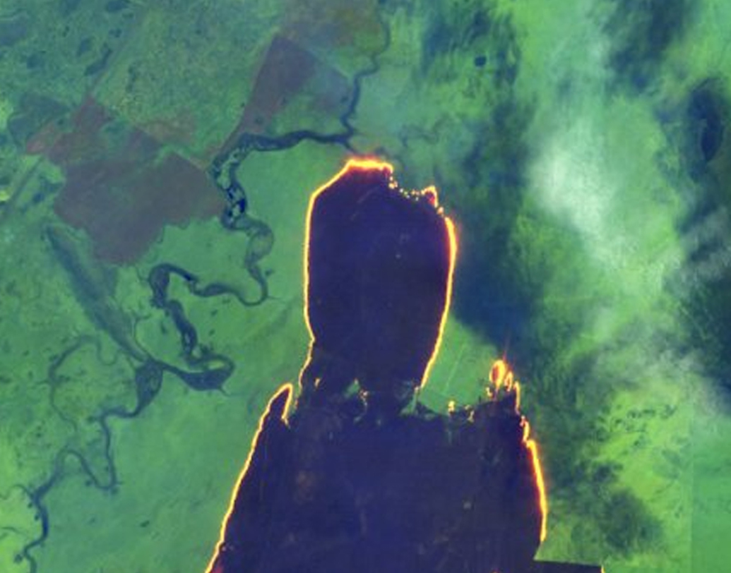 মার্কিন মহাকাশ সংস্থা নাসার উপগ্রহ চিত্রেও ধরা পড়েছে আমাজনে ঘটতে থাকা ৯৫০৭টি নতুন দাবানলের চিত্র।আমাজনের আগুনের উপর নজর রাখছে নাসা। আগুনের তীব্রতার ছবিও পাঠাচ্ছে নাসার একাধিক স্যাটেলাইট।তবে আগুনের থেকেও বিজ্ঞানীদের বেশি ভাবাচ্ছে আগুন থেকে উৎপন্ন ধুম্রজাল। প্রায় ১৭০০ কিমি দূরত্ব পর্যন্ত ছড়িয়ে পড়েছে কালো ধোঁয়া।