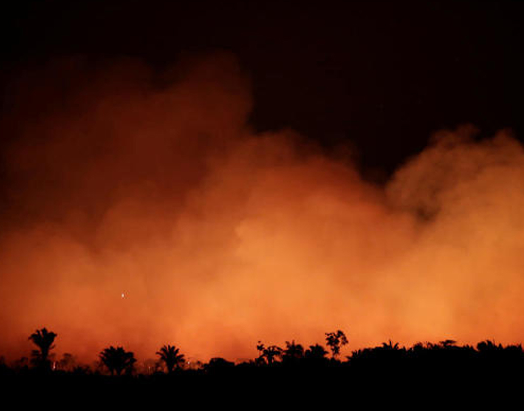 ব্রাজিলের ফেডেরাল বিশ্ববিদ্যালয়ের বিজ্ঞানীদের একাংশ বলছেন, শুকনো বাতাসে দাবানল জ্বলে ওঠা অস্বাভাবিক কিছুনয়।তবে এ ক্ষেত্রে দাবানলের প্রকোপে আগুন লাগেনি বলেই মনে করছেন তাঁরা। ওই বিজ্ঞানীদের মতে, অনেক সময়েই চাষের জন্য জমি বা খামার তৈরি করতে ইচ্ছাকৃত ভাবে জঙ্গলে আগুন ধরিয়ে দেন স্থানীয় গ্রামবাসীরা। সেখানেও এমনটাই হচ্ছে কিনা তা নিয়েও প্রশ্ন উঠেছে।