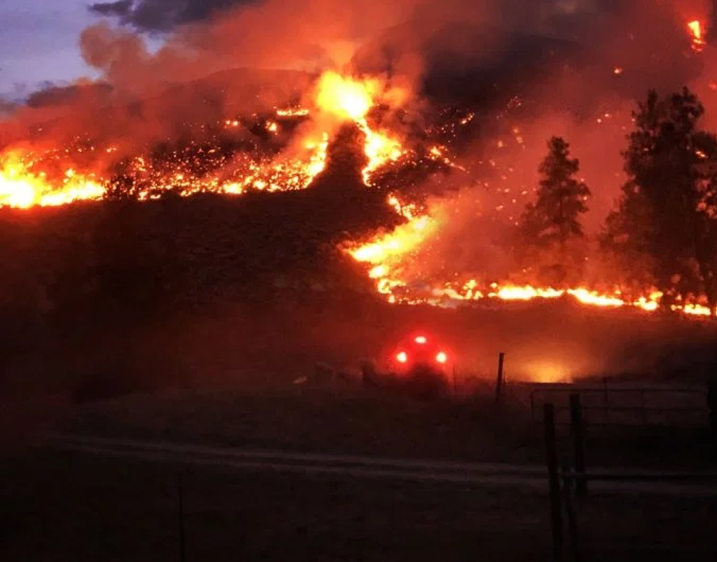 খনিজ পদার্থের ভাণ্ডার আমাজন। খনিজ পদার্থ অন্বেষণের জন্য আমাজন অরণ্যে লাগাতার জঙ্গল সাফ করে খনন কাজ চালানো হয়। সাম্প্রতিক পরিসংখ্যান বলছে, প্রতি মিনিটে একটি ফুটবল মাঠের মাপের জঙ্গল কাটা হয় এখানে।ফলে স্বল্প বৃষ্টিপাতও আমাজনে আগুন লাগার অন্য একটি কারণ হতে পারে বলে ধারণা করছেন বিজ্ঞানীদের আর এক অংশ। কার্বন ছাকনি হিসেবে পরিচিত চিরসবুজের ওই জায়গা যে এই ঘটনার পর তাঁর কার্যক্ষমতা হারাবে সে বিষয়ে নিশ্চিত প্রায় সমস্ত গবেষক।