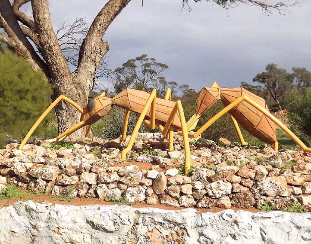 অস্তিত্ব বিপন্ন হওয়ার মুখ থেকে পুচেরা আজ পর্যটন মানচিত্রে নিজের জায়গা করে নিয়েছে। গড়ে ওঠা রোডহাউসের বাইরে ডাইনোসর পিঁপড়ের একটা বড় মূর্তিও বানানো হয়েছে। যা আরও বেশি পর্যটক আকর্ষণ করে।