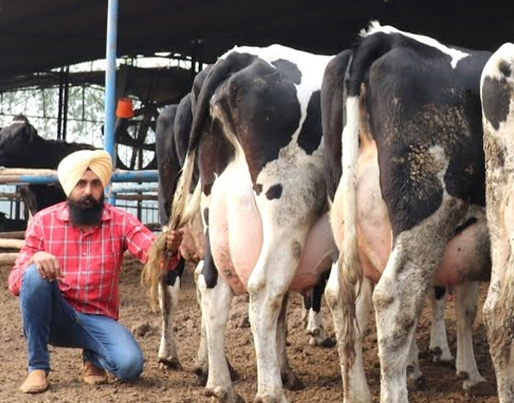 ২০১৭ সালে উপার্জন বাড়ানোর জন্য ডেয়ারি ফার্ম খোলেন। কিন্তু এই সংক্রান্ত কিছু প্রশিক্ষণ ছিল না। তাই ডেয়ারি ফার্মিং এবং অর্গানিক ফার্মিং সংক্রান্ত ইউটিউব ভিডিয়ো দেখতে শুরু করেন। তবে কোনও ভিডিয়োই তাঁর পছন্দ হয়নি।