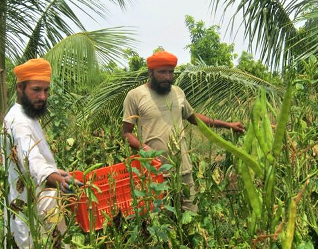 দর্শন বুঝতে পারেন, প্রকৃত অর্থে শেখার জন্য তাঁকে সফল কৃষকের কাছে যেতে হবে। পঞ্জাব এবং হরিয়ানার সমস্ত সফল কৃষকের দোরে দোরে ঘুরতে শুরু করেন দর্শন। এর পরই তাঁর মাথায় আসে যে, তাঁর মতো এ রকম বহু কৃষককে সঠিক প্রশিক্ষণ দিতে পারলে অনেক সমস্যার সমাধান হবে।