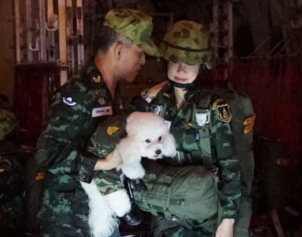 ছবিগুলিতে রাজ পরিবারের একেবারে অন্দরের চেহারা প্রকাশ্যে এসে গিয়েছে। কখনও দেখা গিয়েছে, রাজা মহা ভাজিরালঙ্গকর্ণের সঙ্গে জংলা সামরিক পোশাকে দাঁড়িয়ে রয়েছেন সিনেনার্ট। তবে তাঁরা দু’জনেই পরম মমতায় তাকিয়ে রয়েছেন রাজার হাতে ধরা একটি ধবধবে সাদা পুড্‌লের দিকে।