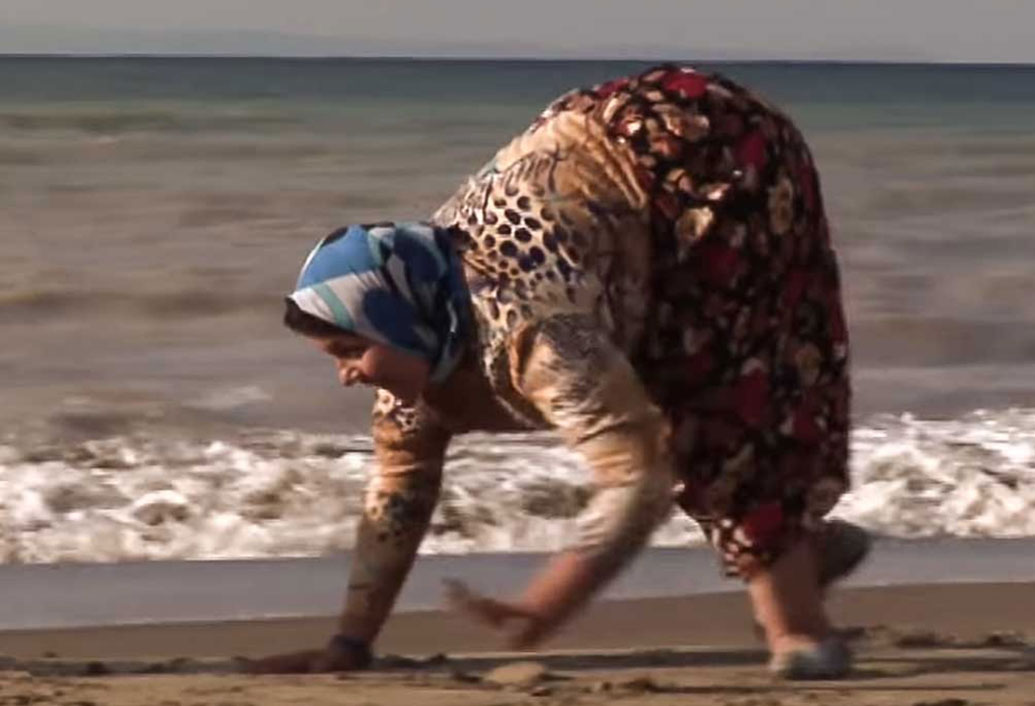 প্রথম এই পরিবারের খোঁজ পেয়েছিলেন তুরস্কের বিজ্ঞানী উনের ট্যান। তাঁর এই খোঁজ তখনও কোনও জার্নালে প্রকাশিত হয়নি। অপ্রকাশিত এই রিসার্চ পেপার চোখে পড়ার পরই প্রাণীদের বিচিত্র আচরণ নিয়ে কাজ করা এক প্রাণীবিদ বিবিসি-র রিপোর্টার নিকোলাস হাম্পফ্রেকে ফোনে বিষয়টা জানান। বিবিসি তথ্যচিত্র প্রকাশ করলে বিশ্ব এই ঘটনার কথা জানতে পারে।