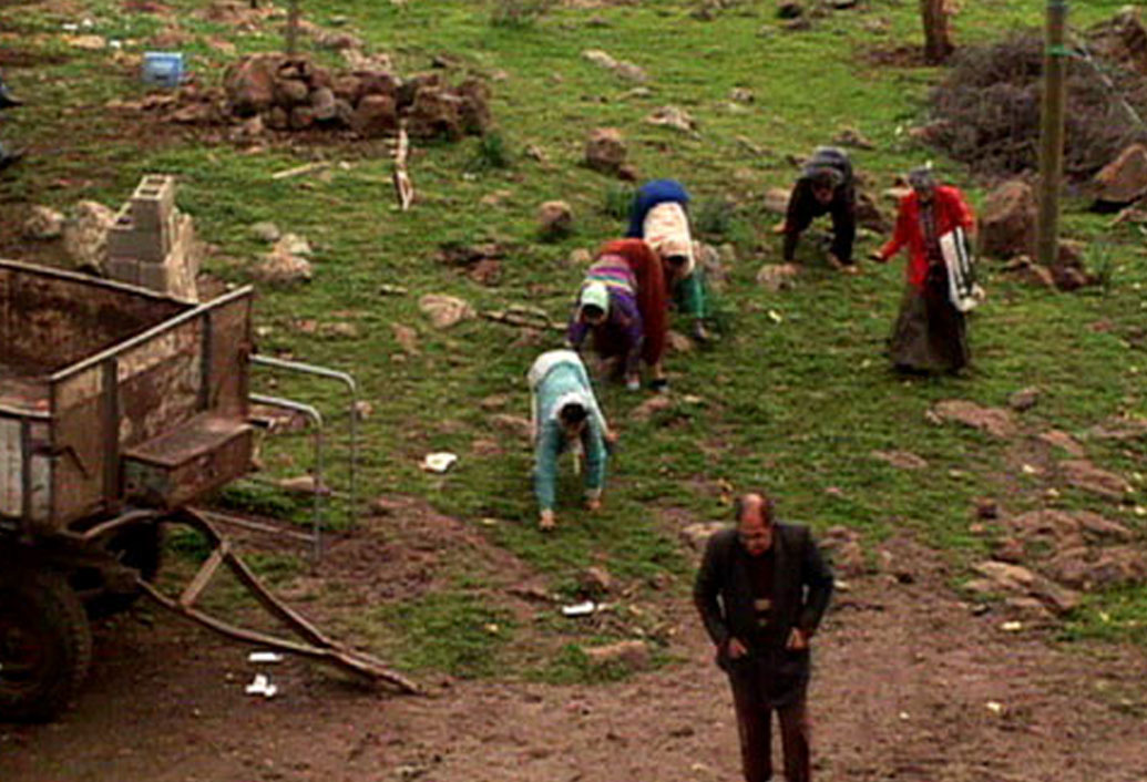 ওই জার্নালে প্রকাশিত তথ্য অনুসারে, তাঁরা চারপেয়ে হলেও হাঁটার ধরন কিন্তু একেবারেই পশুর মতো নয়। কারণ পশু যখন হাঁটে সামনের ডান ও পিছনের বাঁ পা এক সঙ্গে এবং সামনের বাঁ পায়ের সঙ্গে পিছনের ডান পা সামনে এগিয়ে নিয়ে চলে। এঁরা কিন্তু তা করেন না। বাঁ হাতের সঙ্গে বাঁ পা-ই এগিয়ে নিয়ে চলেন।