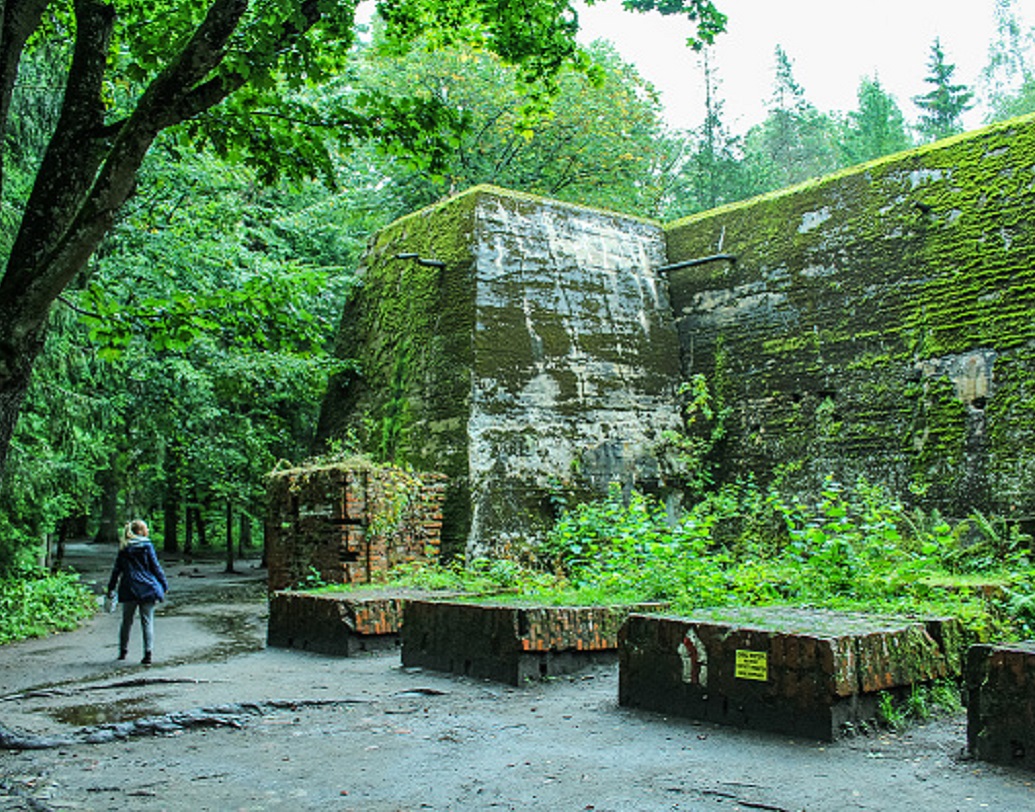 উলভ’স লেয়ার বা নেকড়ের ডেরা নামে পরিচিত এই ঘাঁটিতে সাধারণ মানুষ ঘুরতে যান প্রতি বছরই। দর্শকদের আগ্রহ দেখে এ বার এই বিশাল অঞ্চলকে একটি থিম পার্কে পরিণত করার পরিকল্পনা করছে পোলিশ সরকার। পার্কের থিম হবে ‘নাজি সময়কাল ও হিটলার’।