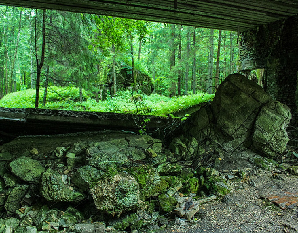 আজও হিটলারের তৈরি ঘাঁটিতে বেশ কিছু বাড়ি প্রায় অক্ষতই রয়ে গিয়েছে। ৮ মিটার পুরু দেওয়াল বহু বোমার আঘাত সহ্য করে আজও দাঁড়িয়ে আছে। যে বাড়িতে হিটলারের উপর আক্রমণ হয়েছিল, সেই বাড়িটির কেবল মেঝেই রয়েছে। অধিকাংশ জায়গাই জঙ্গল গ্রাস করে নিয়েছে। চলার পথের মাঝে কোথাও কোথাও লোহার রডও বেরিয়ে থাকতে দেখা যায়।