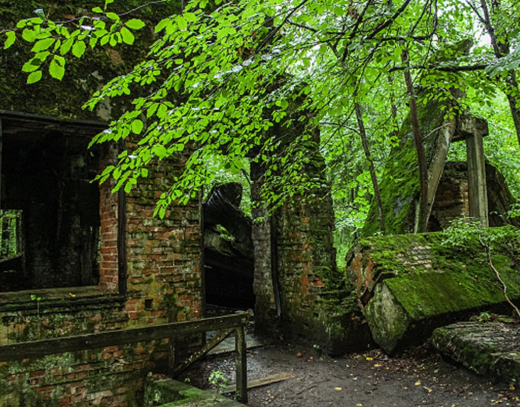 নাজি হেডকোয়ার্টারের ইতিহাস সম্পর্কে দর্শকদের অবগত করার জন্য একটি সিনেমা দেখানোর ব্যবস্থাও করা হবে। দর্শকদের দেখার জন্য রাখা থাকবে সেই সময়কালে ব্যবহৃত সেনা পোশাক এবং অস্ত্র-শস্ত্র। বিভিন্ন অভিনেতাদের নাজি পোশাক পরিয়ে ছবি তুলিয়ে এই পার্কের প্রচার চালানোর পরিকল্পনা করে ফেলেছেন অধিকর্তারা।